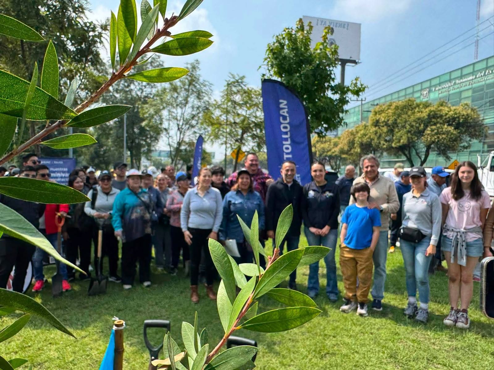 Metepec reporta avance de 93% en programa de arborización 2026