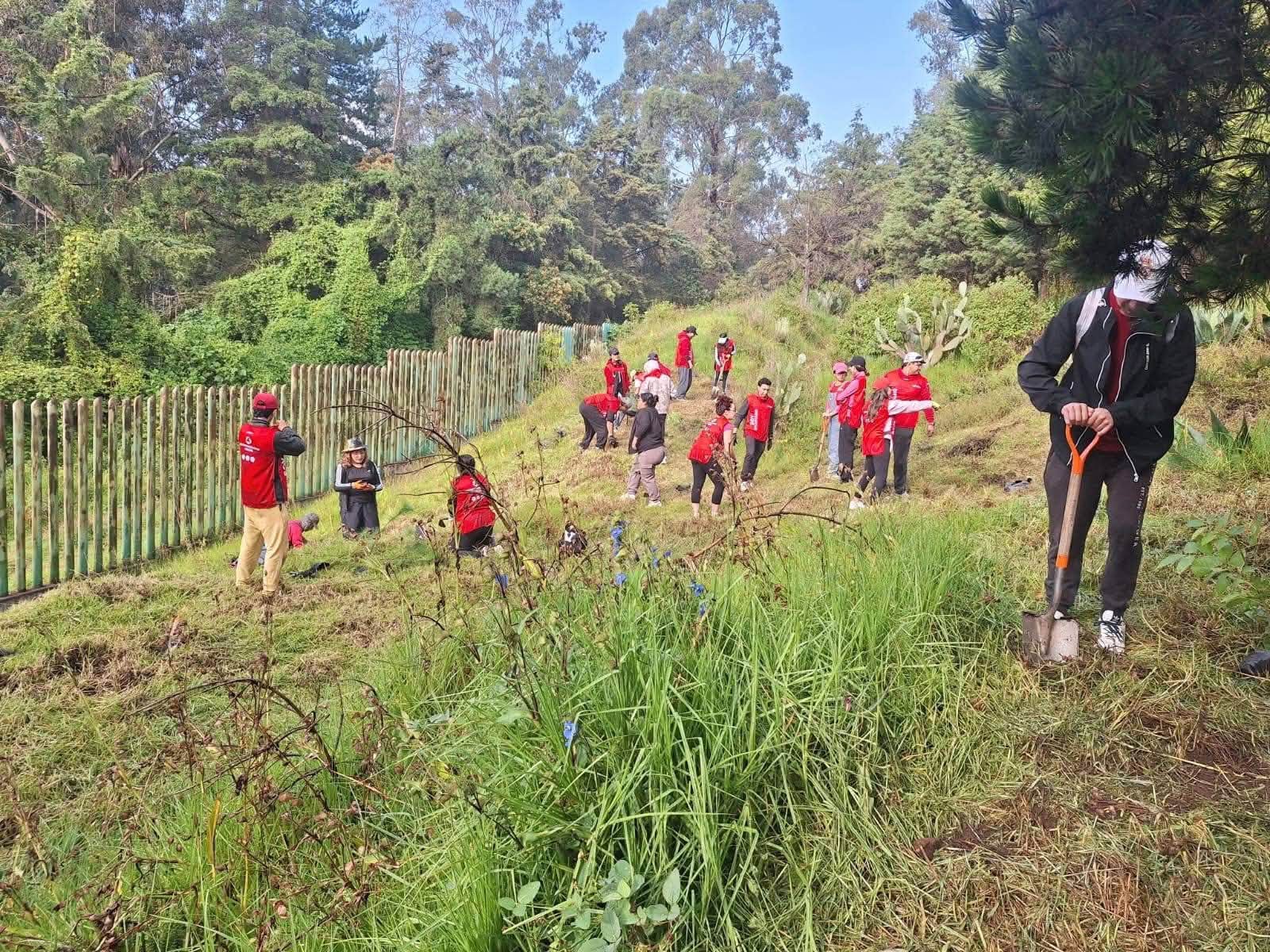 Metepec cierra jornada de reforestación con más de 22 mil árboles plantados